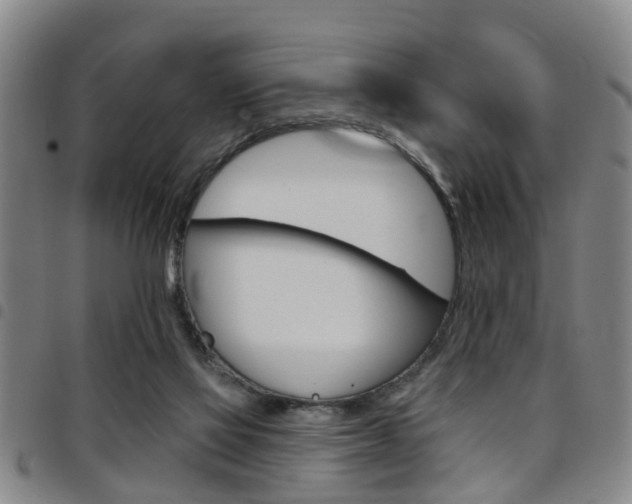 X0000097830069200803140838