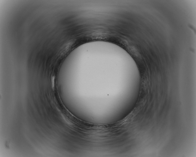 X0000097830070200803140838