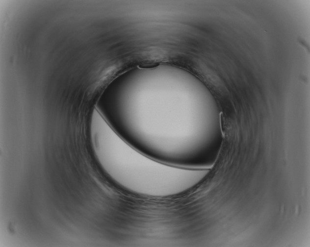 X0000097830072200803140838