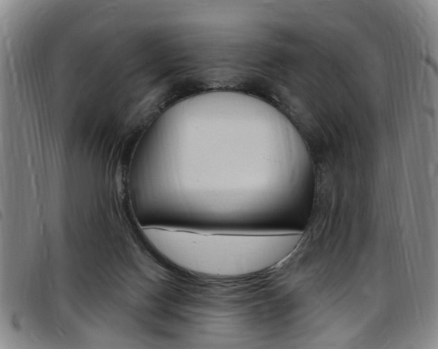 X0000097830074200803140838