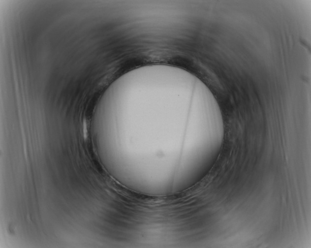 X0000097830075200803140838