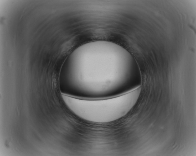 X0000097830080200803140838