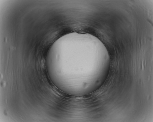 X0000097830081200803140838