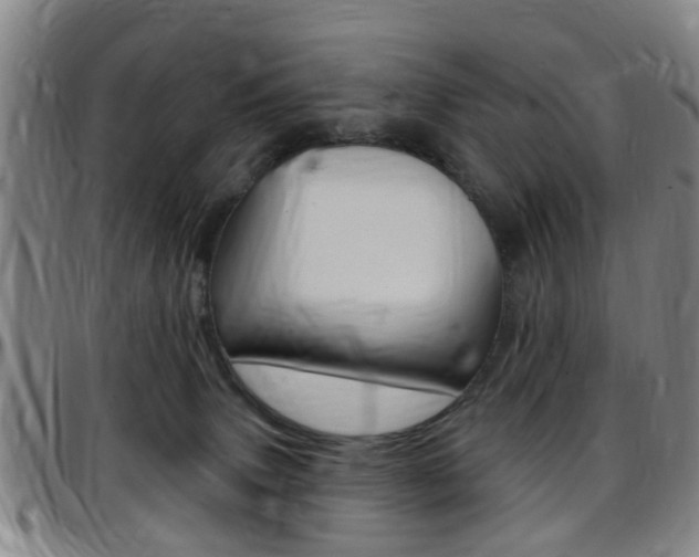 X0000097830083200803140838