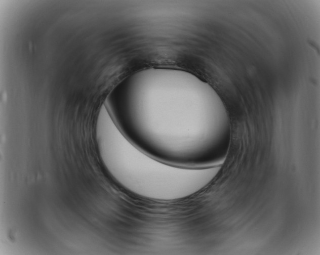 X0000097830084200803140838