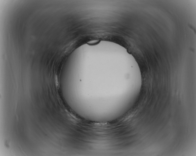 X0000097830089200803140838
