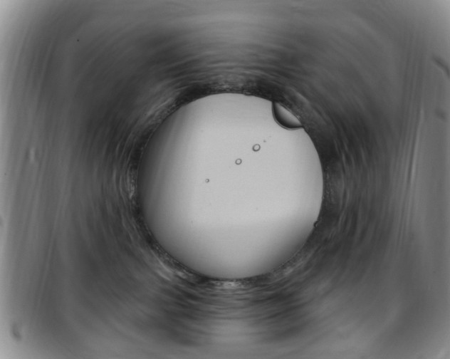 X0000097830091200803140838