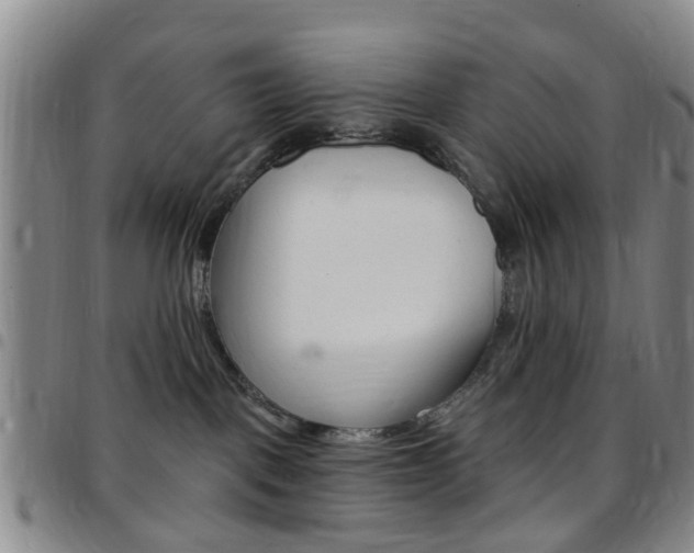 X0000097830093200803140838