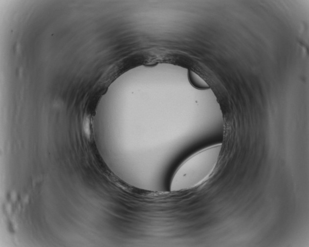 X0000097830094200803140838