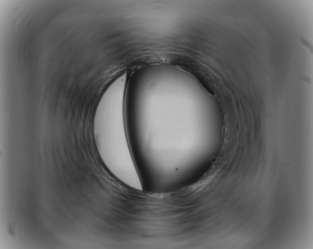 X0000097830096200803140838