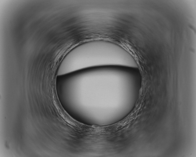 X0000097830097200803140837