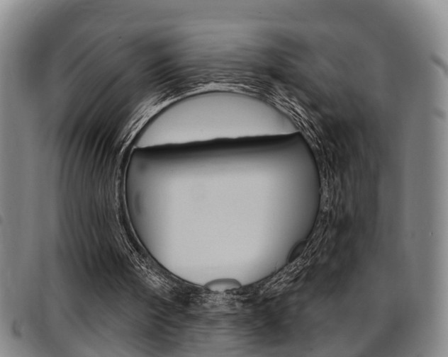 X0000097830098200803140837
