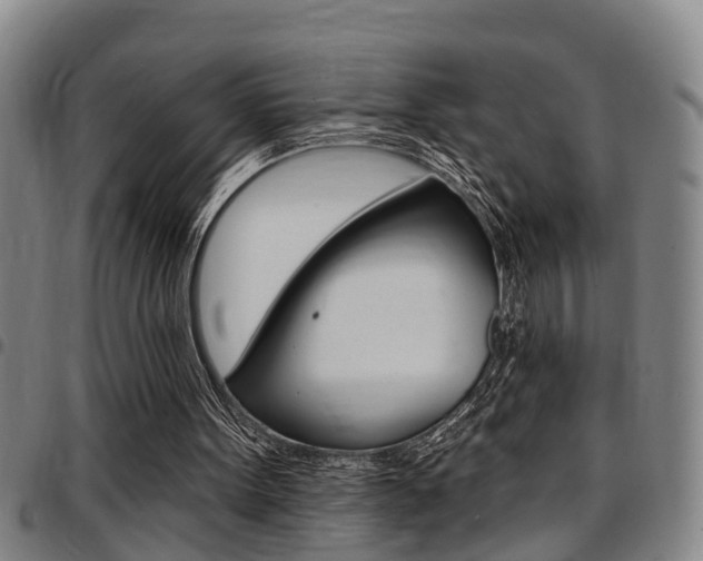 X0000097830099200803140837