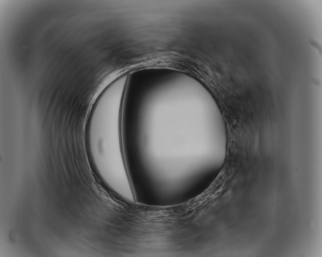 X0000097830100200803140837