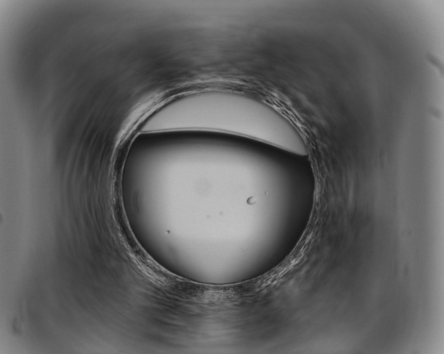 X0000097830101200803140837