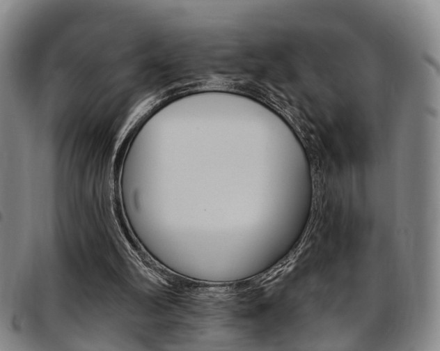 X0000097830102200803140837