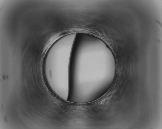 X0000097830103200803140837