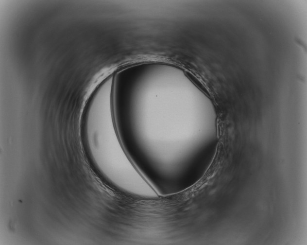 X0000097830104200803140837