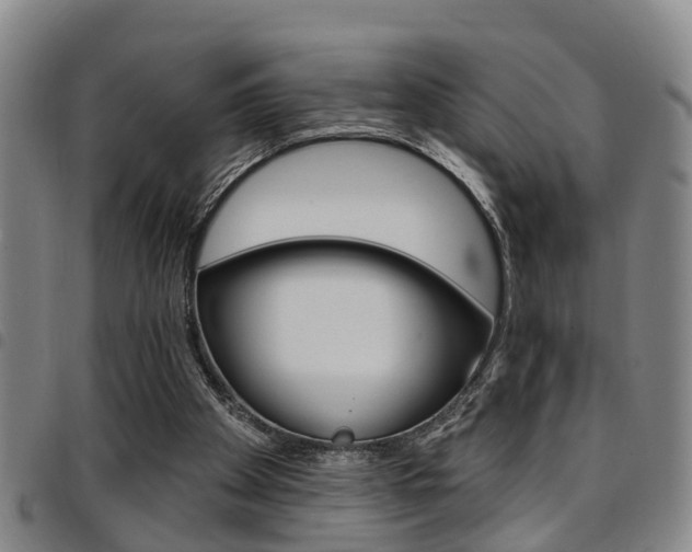 X0000097830105200803140837