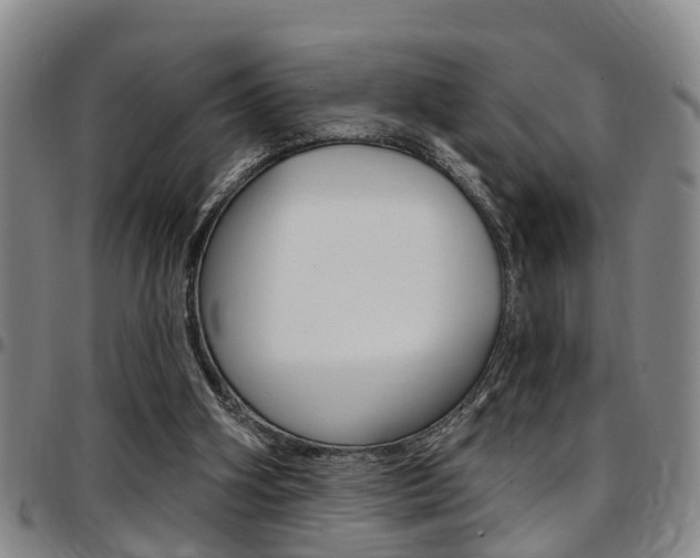 X0000097830106200803140837