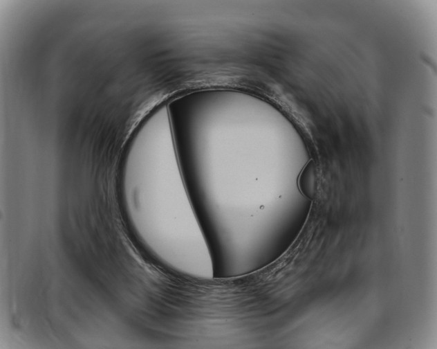 X0000097830107200803140837