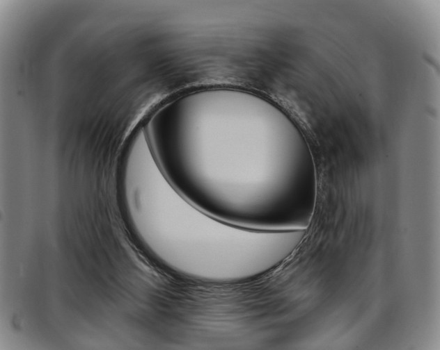 X0000097830108200803140837