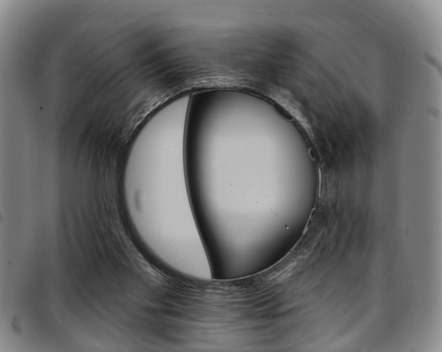 X0000097830109200803140837