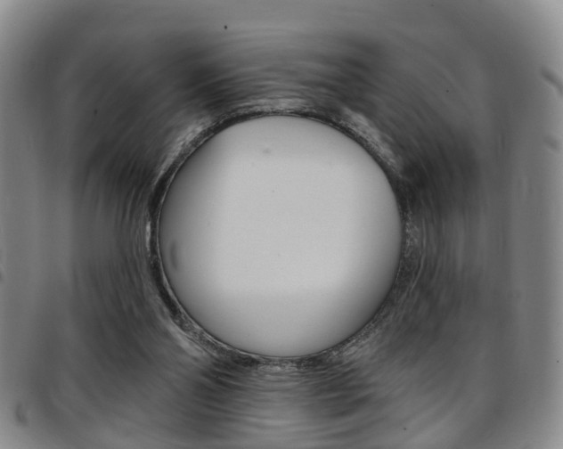 X0000097830110200803140837