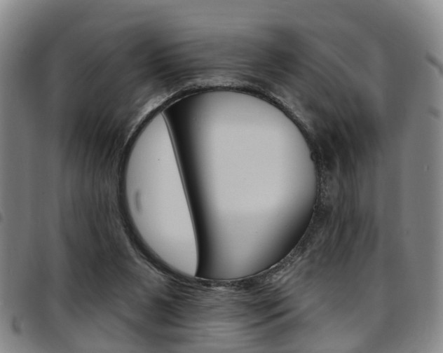 X0000097830111200803140837