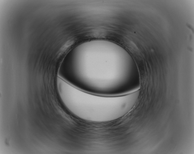 X0000097830120200803140837