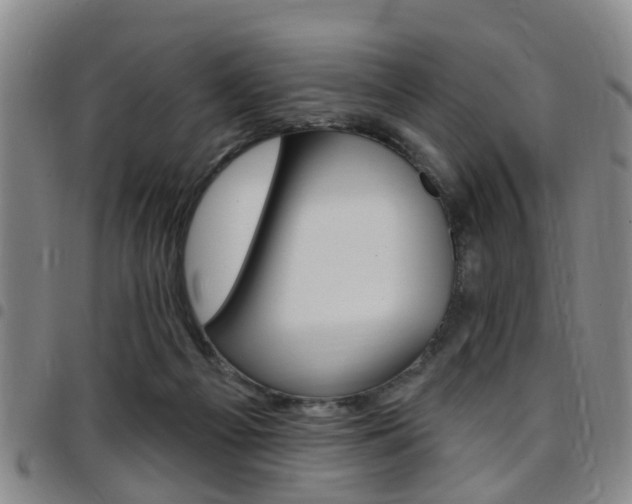 X0000097830121200803140837