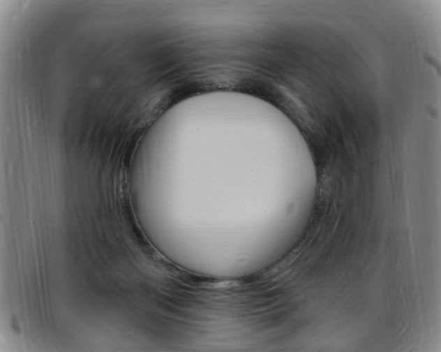 X0000097830122200803140837