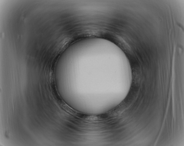 X0000097830123200803140837