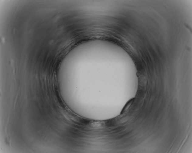 X0000097830126200803140837