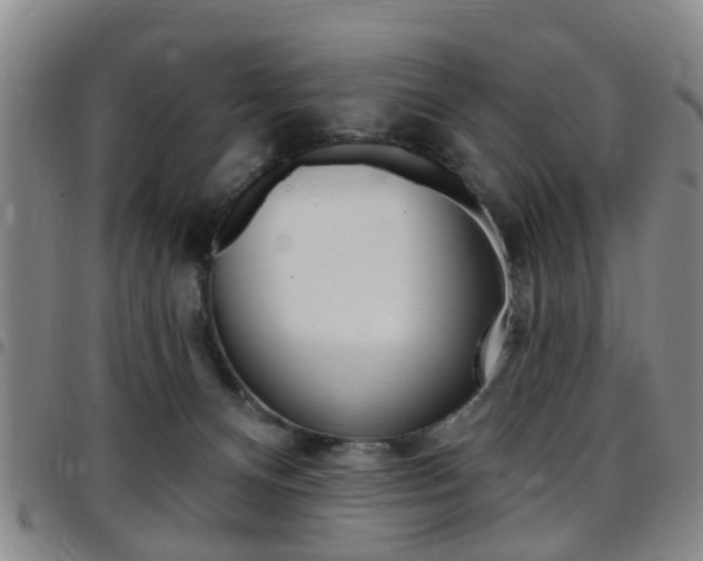 X0000097830128200803140837