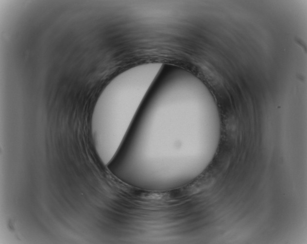 X0000097830129200803140837
