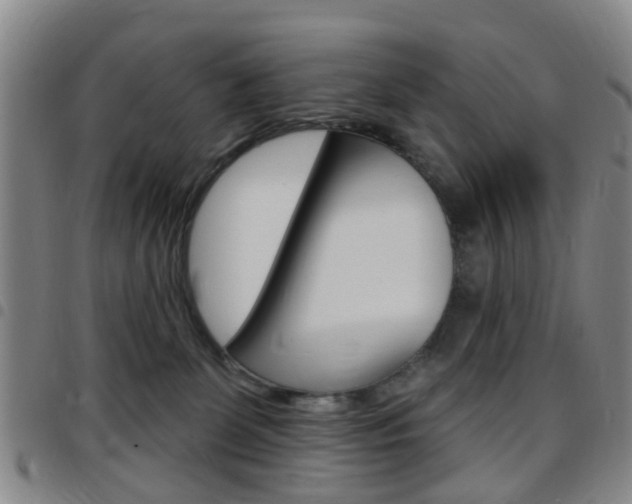 X0000097830131200803140837
