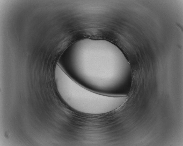 X0000097830132200803140837