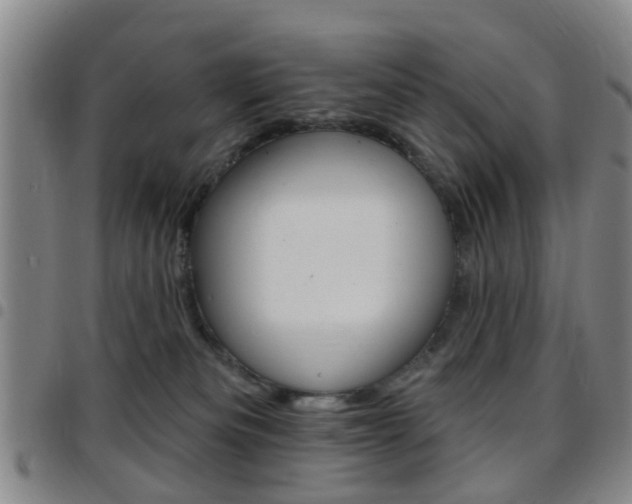 X0000097830133200803140837