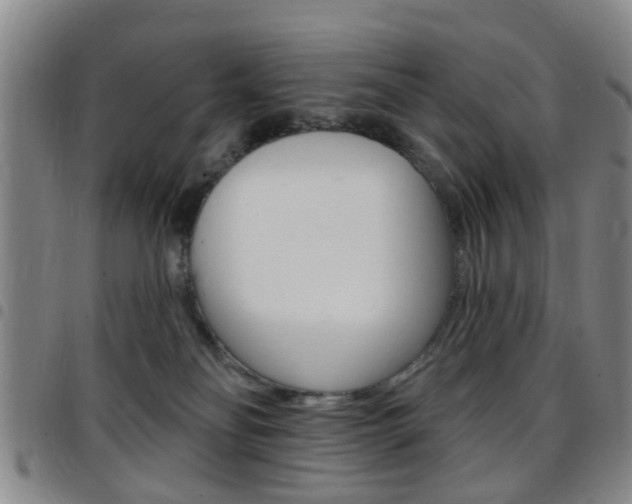 X0000097830134200803140837