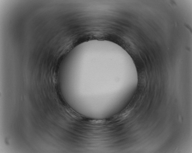 X0000097830135200803140837
