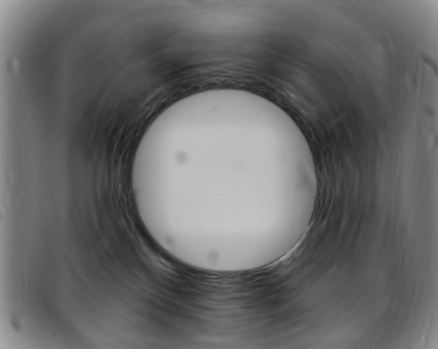 X0000097830136200803140837