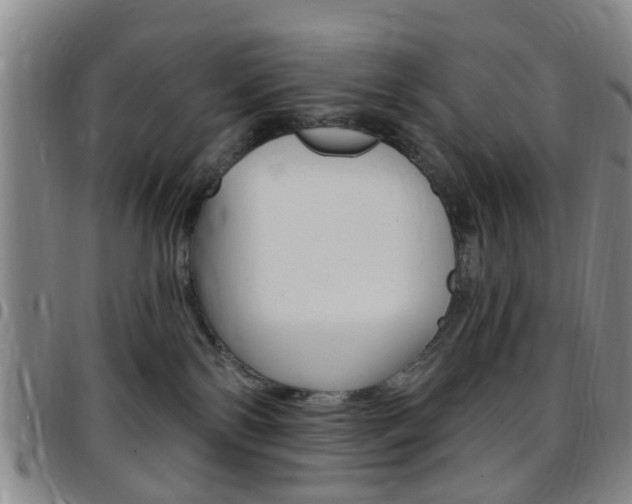 X0000097830138200803140836