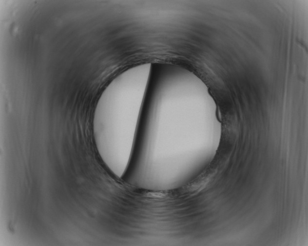 X0000097830139200803140836