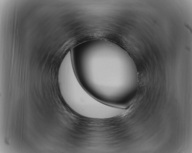 X0000097830140200803140836