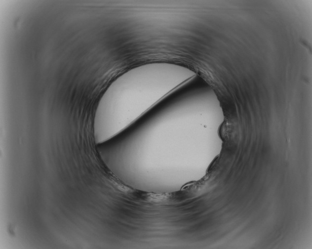 X0000097830143200803140836