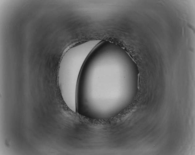 X0000097830144200803140836