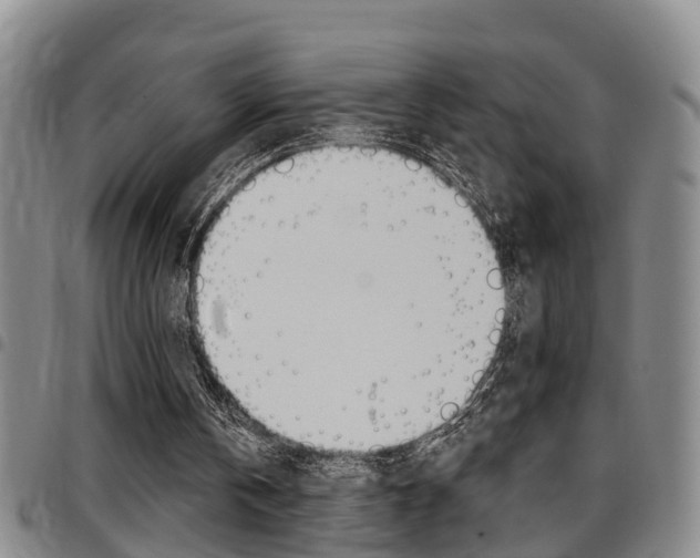 X0000097830146200803140836
