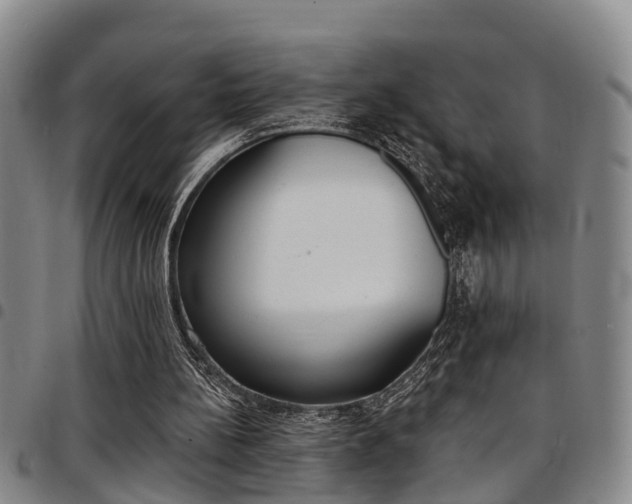 X0000097830148200803140836