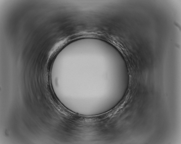 X0000097830149200803140836